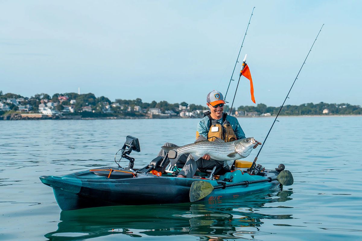 Man smiling on Old Town while holding large striped bass he caught