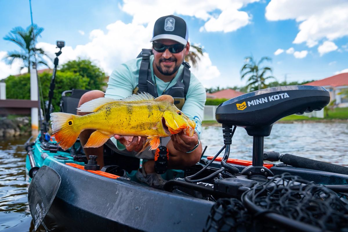Man showing pretty yelllow fish
