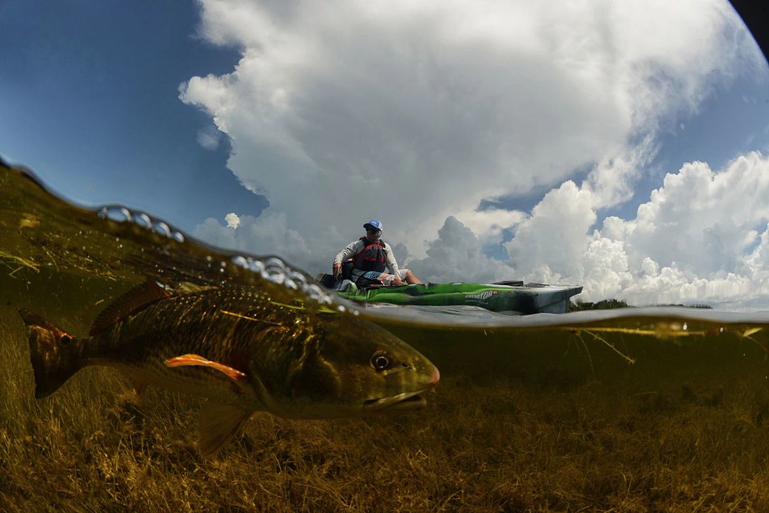 Split view of fish underwater in shallow lake with man in kayak on surface